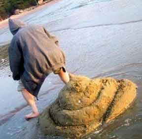 pile-of-shit-sand-castle